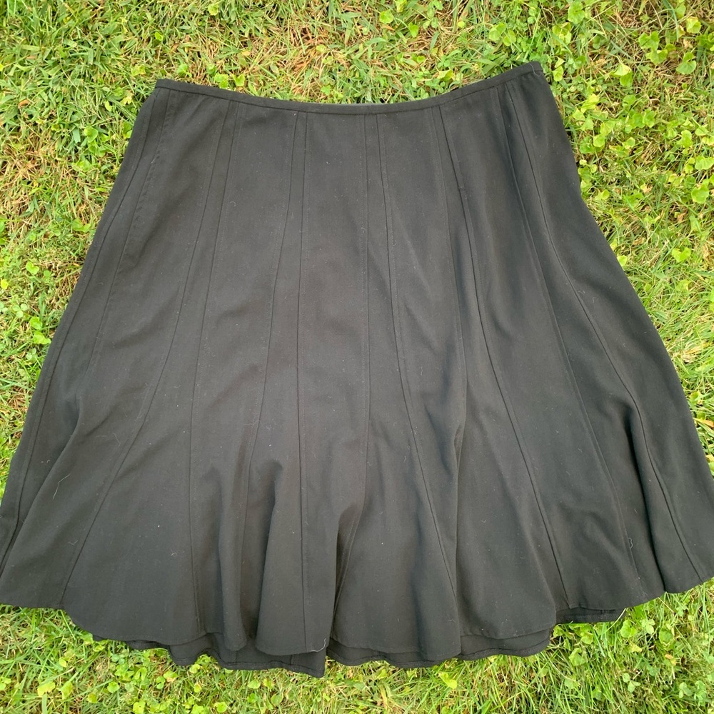 Dress Barn skirt